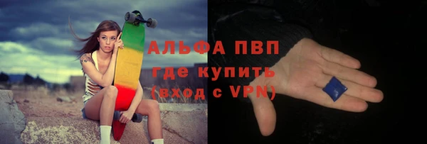 амф Новодвинск