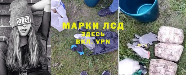каннабис Новозыбков