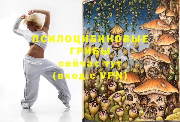 таблы Армянск