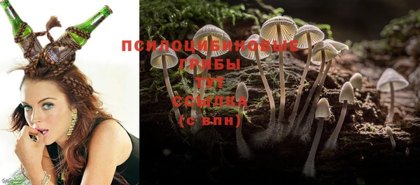 таблы Армянск